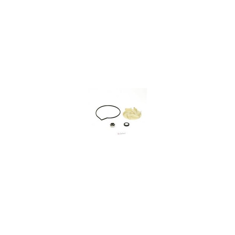 ACCESORIOS BOMBA (550,750)