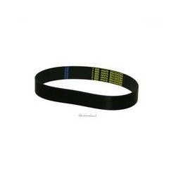 CORREA POLY-V  M-10/ 15
