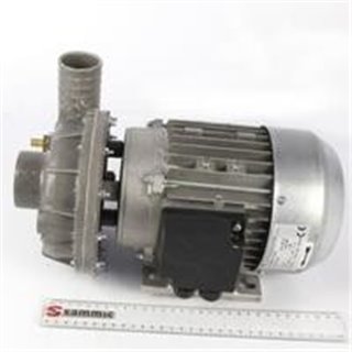 MOTOBOMBA  230/50HZ  2HP