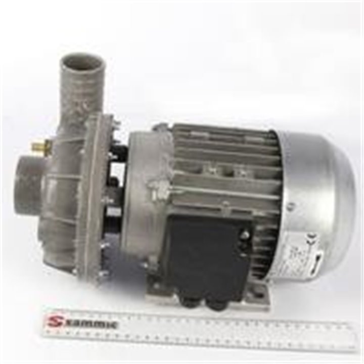 MOTOBOMBA  230/50HZ  2HP