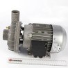MOTOBOMBA  230/50HZ  2HP