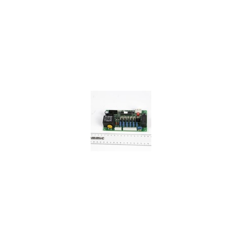 PLACA ELECTRONICA VAJ. X/S/SL