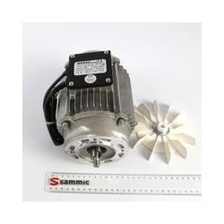 MOTOR PELADORA PPC-6/12 + PLUS 3F
