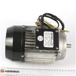 MOTOR PELADORA PP-6/12+ I230/400/50/3F