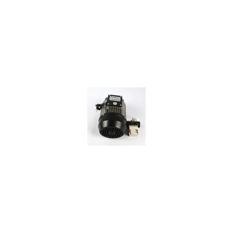 MOTOR PELADORA PP-6/12+  230/50/1