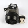 MOTOR PELADORA PP-6/12+  230/50/1