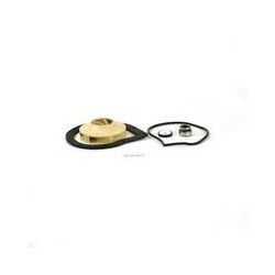 ACCESORIOS MOTOBOMBA 0,33  05 2007