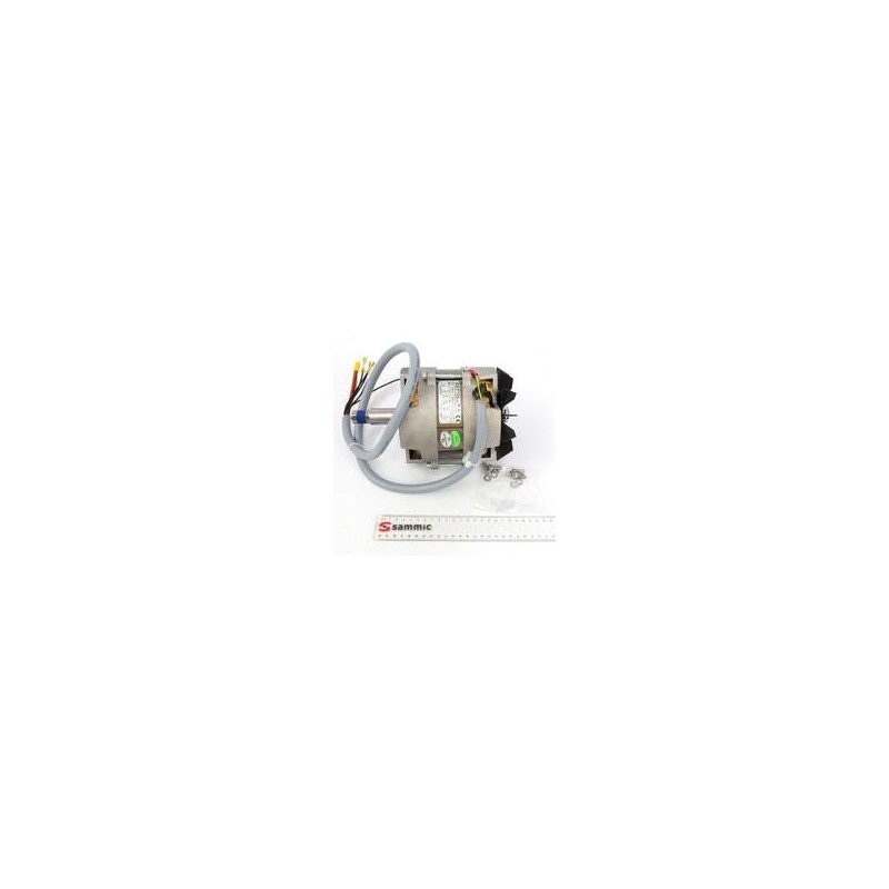 MOTOR ES-100/200 230/50