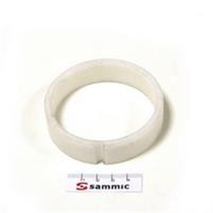 TERMOSTATO PLACA TS-150