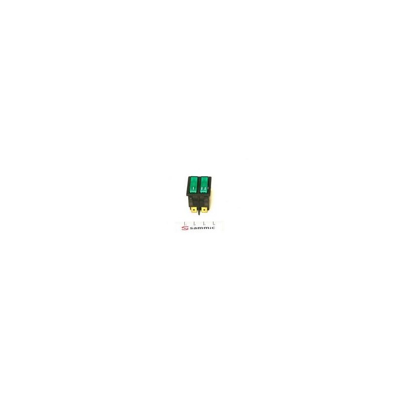 INTERRUPTOR LUMINOSO FPG