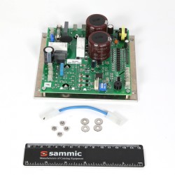PLACA ELECTRONICA ES 230V